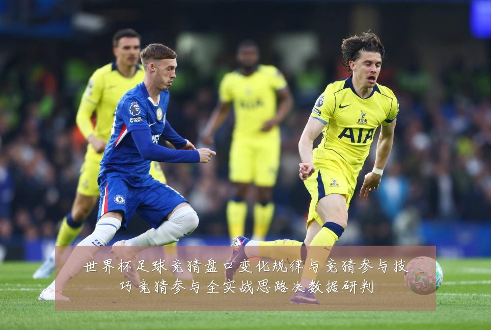 世界杯足球竞猜盘口变化规律与竞猜参与技巧竞猜参与全实战思路决数据研判